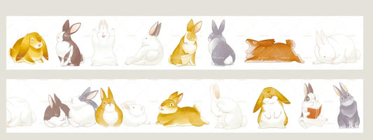 3620-2.8x35cm Glossy PET Tape