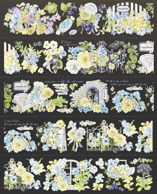 3628-HASISO Studio-6x100cm Shell Luster PET Tape