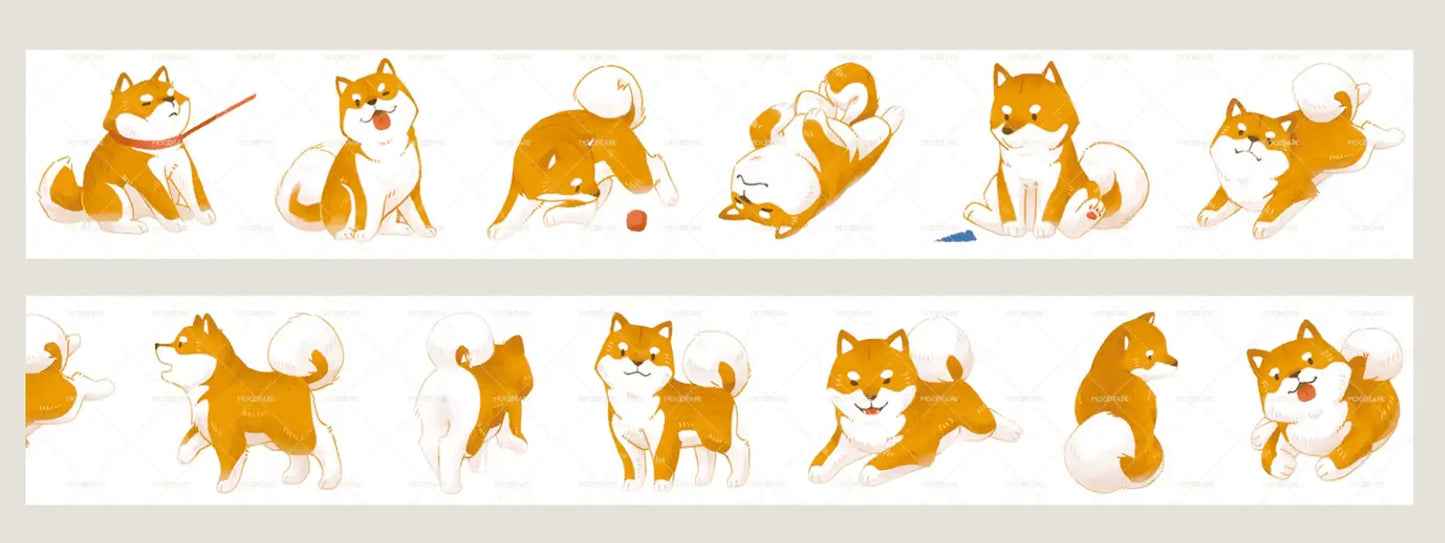 3636-2.8x35cm Glossy PET Tape