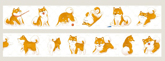 3636-2.8x35cm Glossy PET Tape