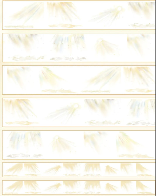 3795-7x155cm Glossy PET Tape