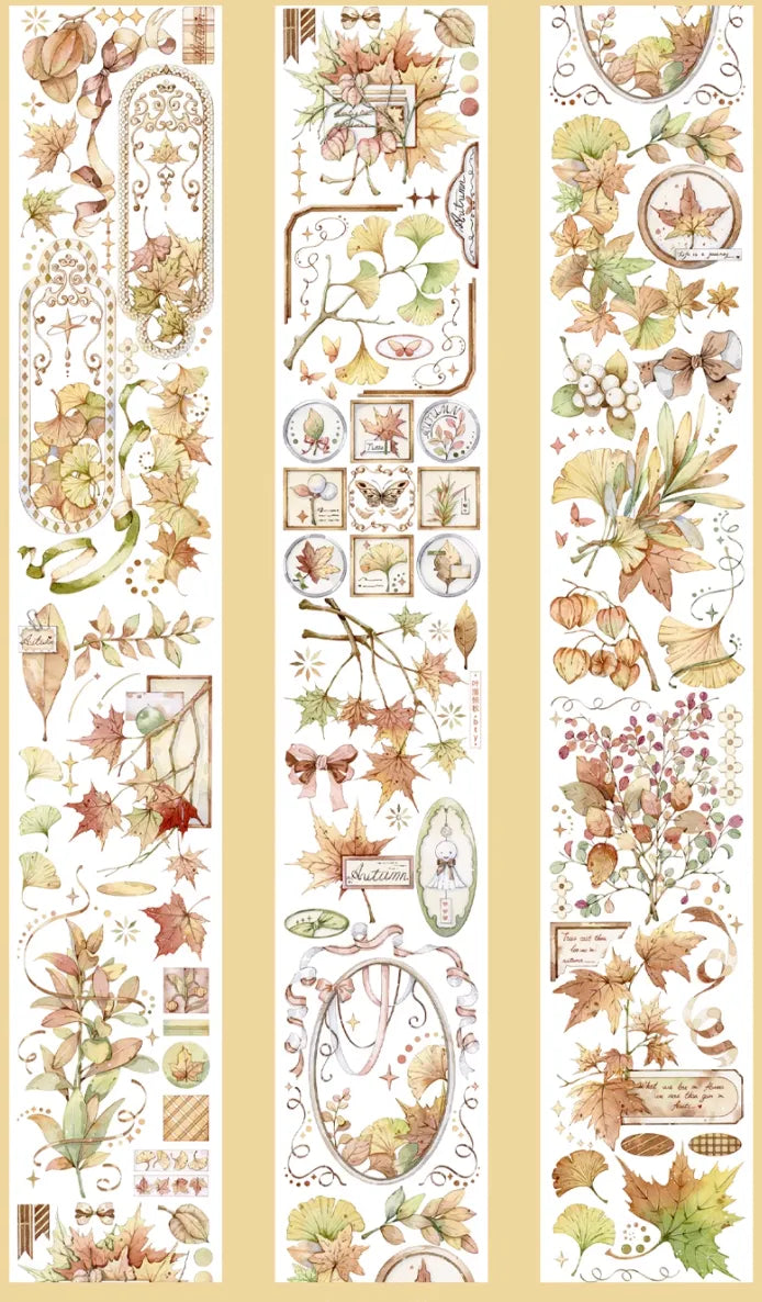 3841-6x100cm Shell Luster PET Tape