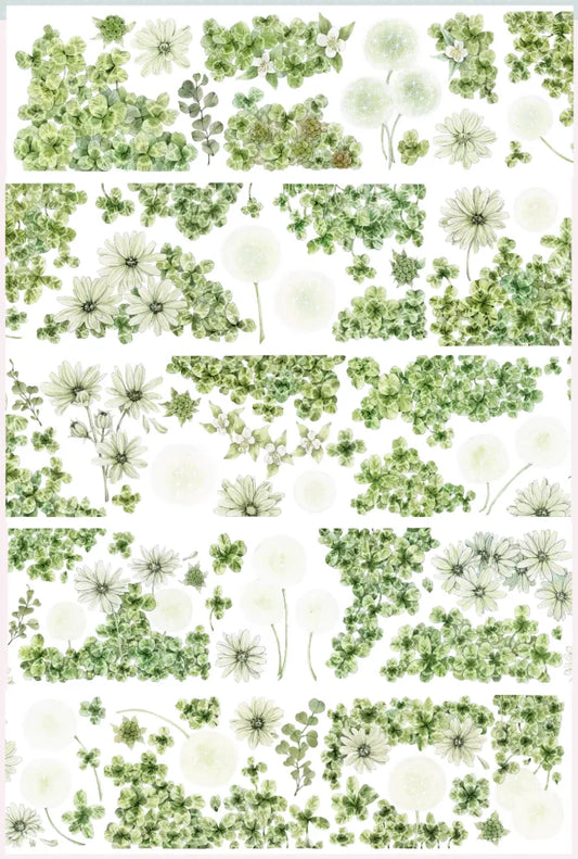 3980-6x100cm Precut Shell Luster PET Tape