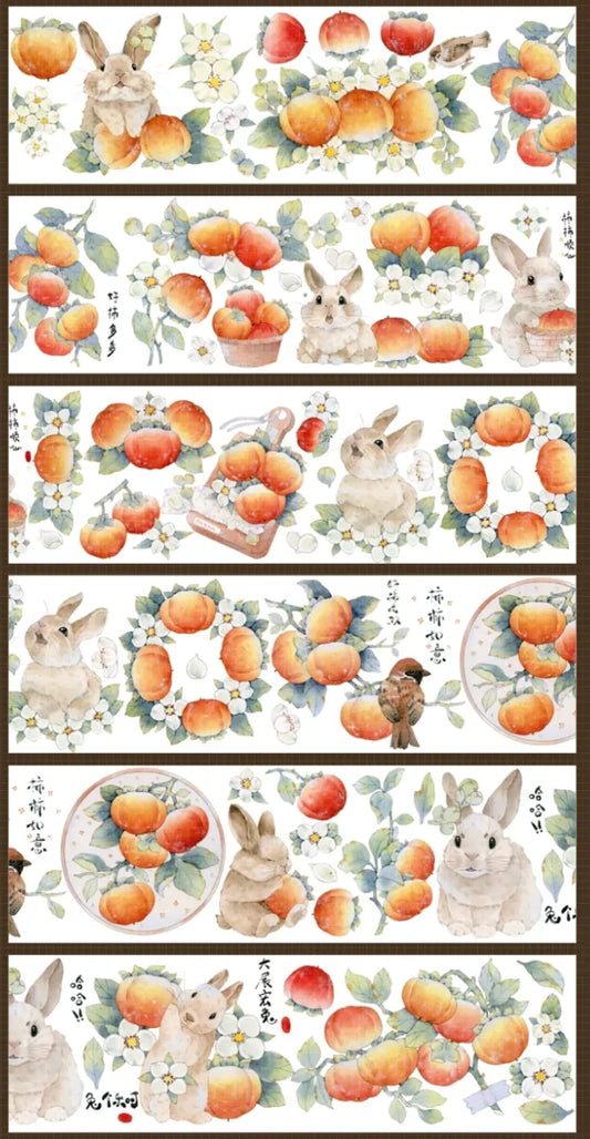 4037-XING MU Studio-6.5x100cm Shell Luster PET Tape