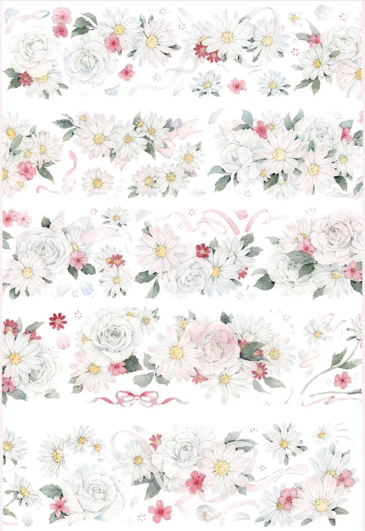 4068-6x100cm Precut Shell Luster PET Tape