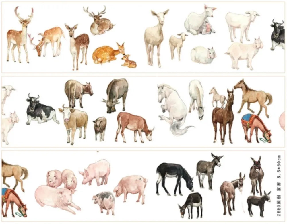 4203-ZERO Studio-Glossy PET Tape