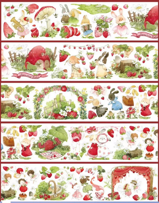 4514-MAN BU JING XIN Studio-6x100cm Shell Luster PET Tape