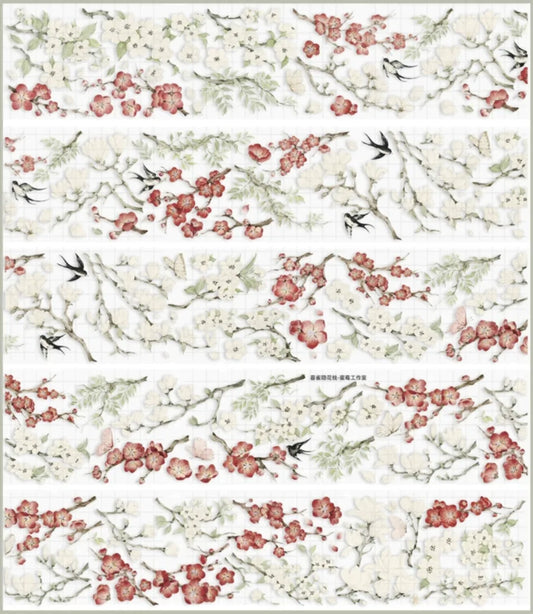 4678-Strawberry Studio-6x100cm Shell Luster PET Tape