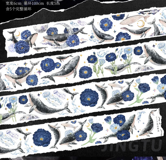 4693-NEW Studio-6x100cm Shell Luster PET Tape