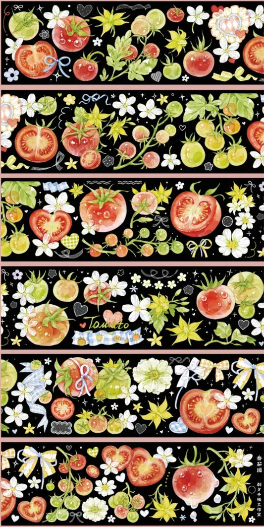 4732-ZHAOXI Studio-6x100cm Shell Luster PET Tape