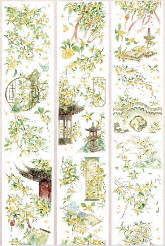 4746-MIST FOREST Studio-6x100cm Shell Luster PET Tape