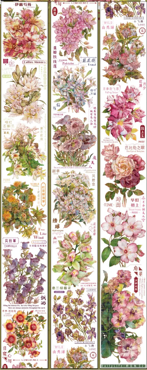 4901-DailyLife Studio-9x200cm Glossy PET Tape