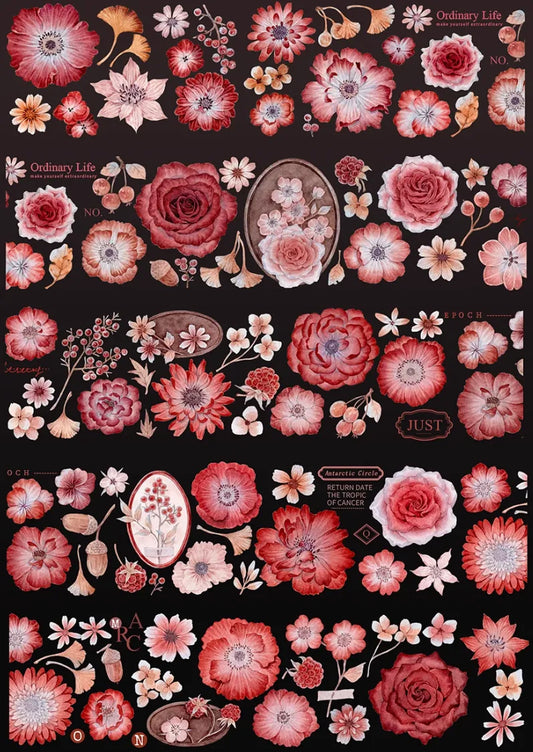 4927-HASISO Studio-6x100cm Shell Luster PET Tape