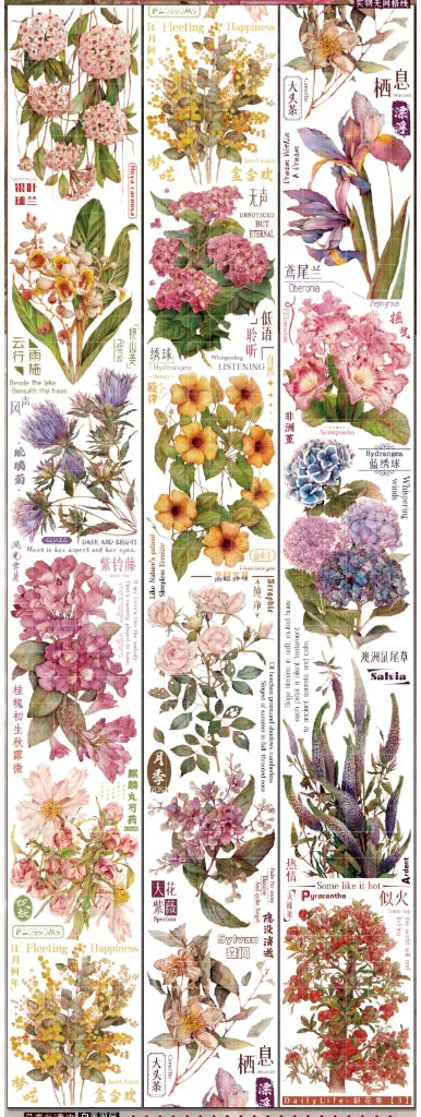 4935-DailyLife Studio-6x125cm Glossy PET Tape