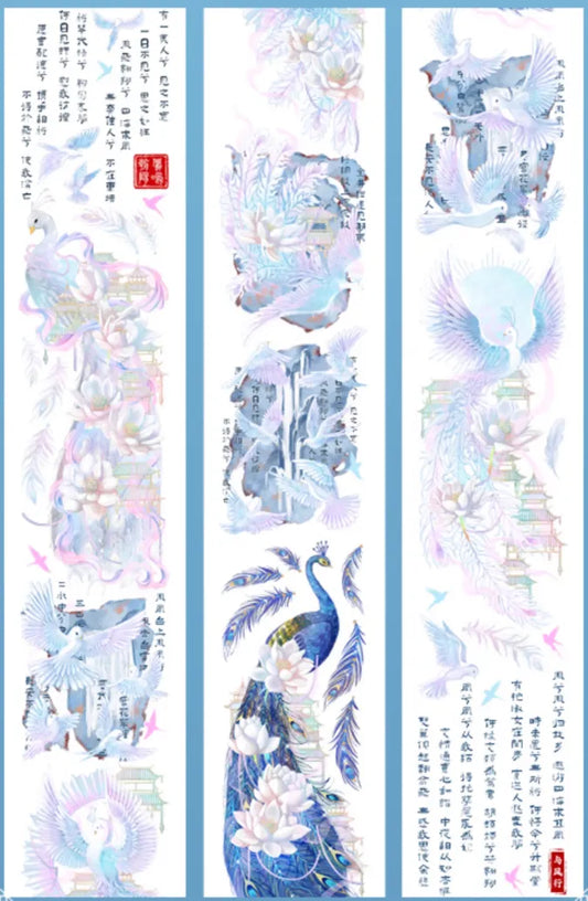 4949-ZHIXINGCHEN Studio-6x100cm Shell Luster PET Tape