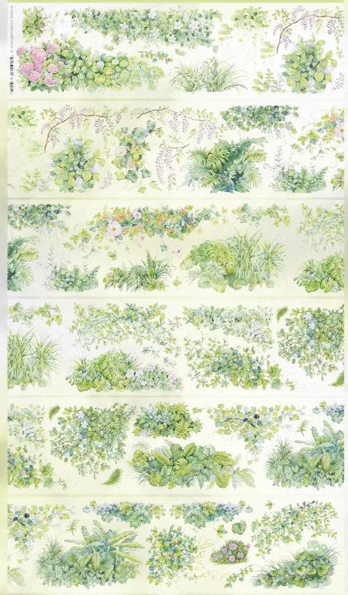 4970-Glacier Museum Studio-6.5x100cm Shell Luster PET Tape