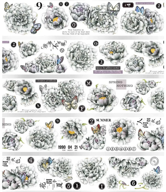 4985-YOYOYO Studio-6x120cm Glossy PET Tape