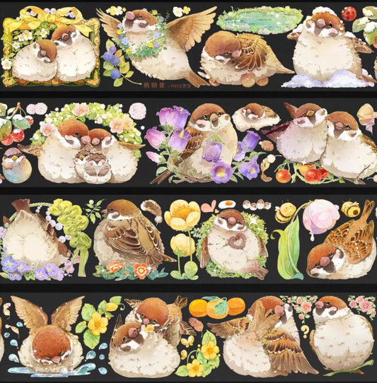 5059-NO.703 Studio-6x100cm Shell Luster PET Tape