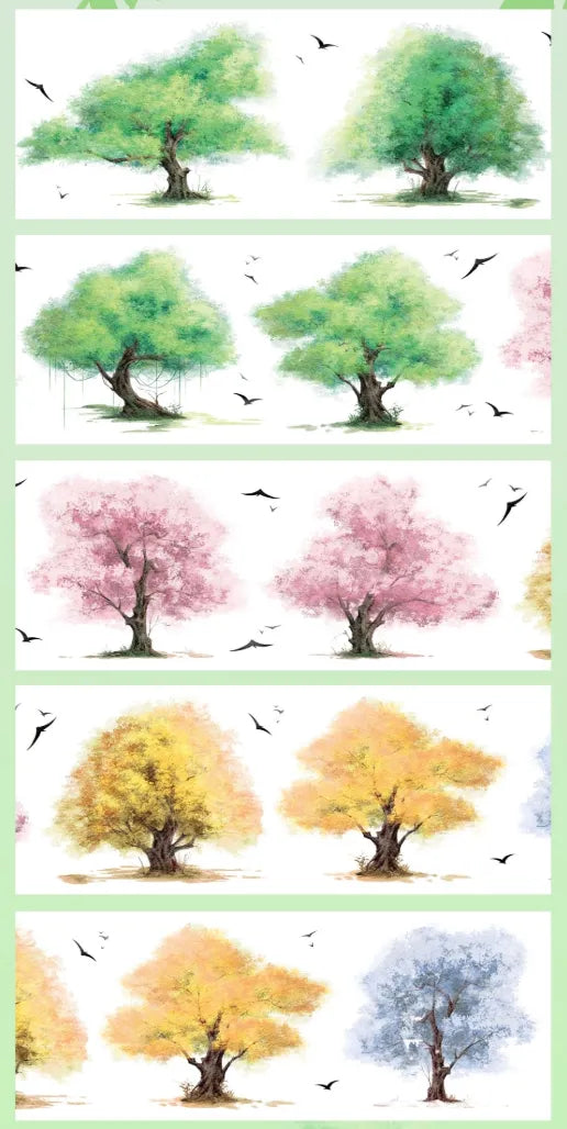 5105-SHI AN Studio-9x100cm Glossy PET Tape