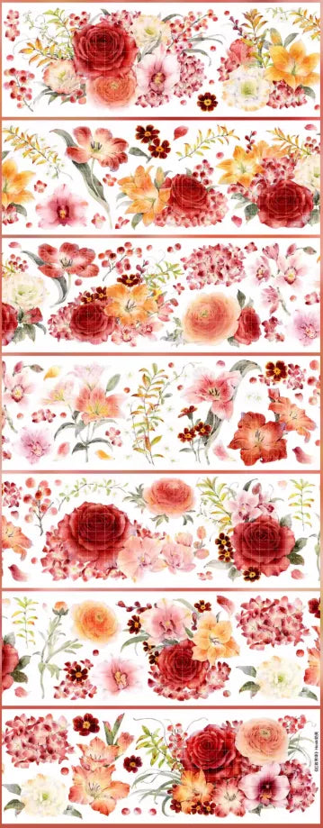 5223-Hoshi Studio-6x100cm Shell Luster PET Tape