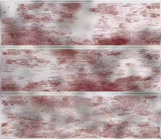 5257-ZERO Studio-Glossy PET Tape