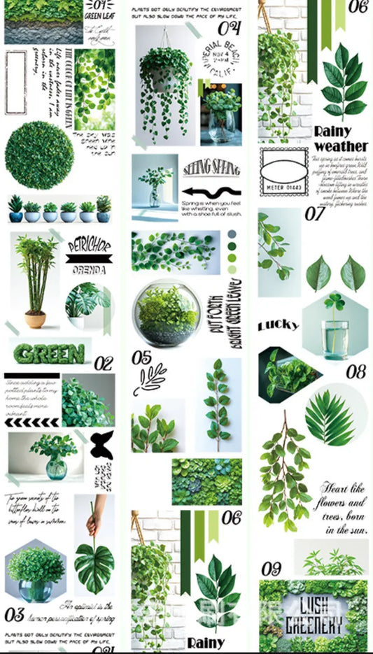 5286-6.5x100cm Gold Foil Stamping PET Tape