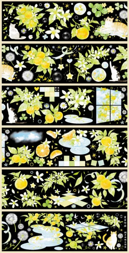 5374-ZHAOXI Studio-6x100cm Shell Luster PET Tape