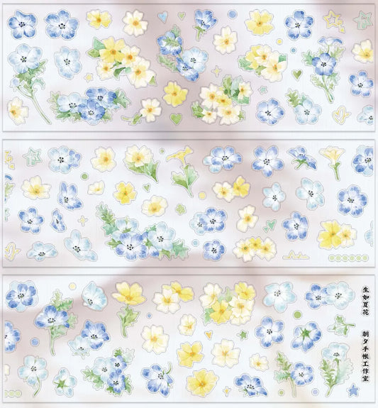 5375-ZHAOXI Studio-6x50cm Precut Matte PET Tape