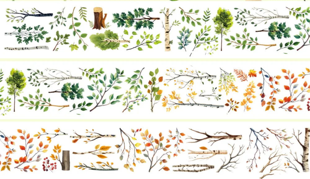 5433-6x100cm Frosted PET Tape