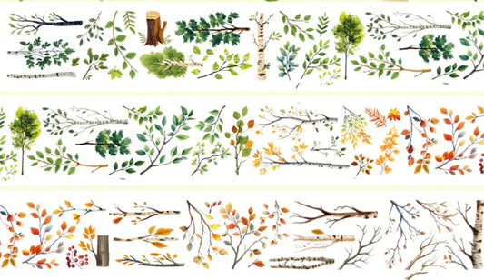 5433-6x100cm Frosted PET Tape