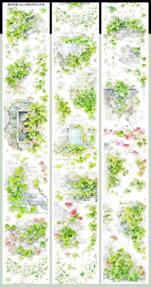 5454-Wines Studio-6x100cm Shell Luster PET Tape