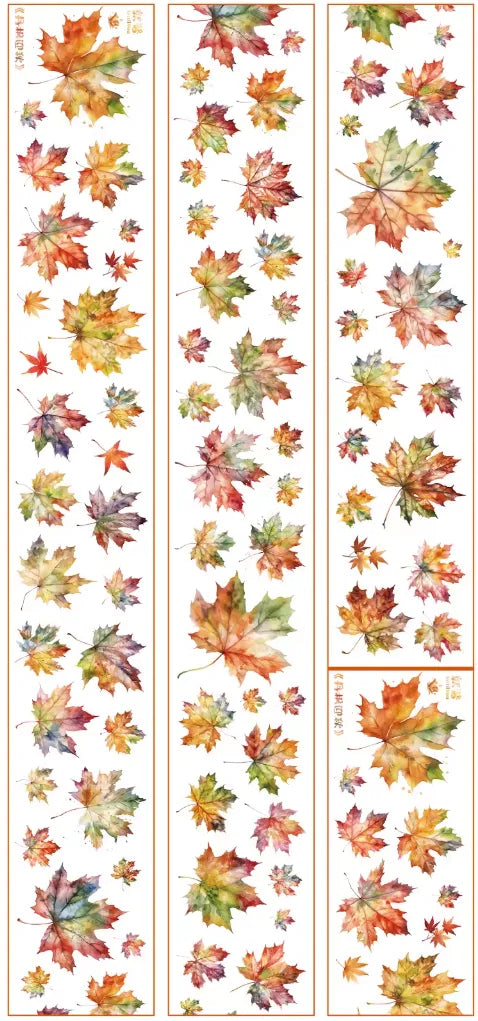 5557-UntilYou Studio-Shell Luster PET Tape