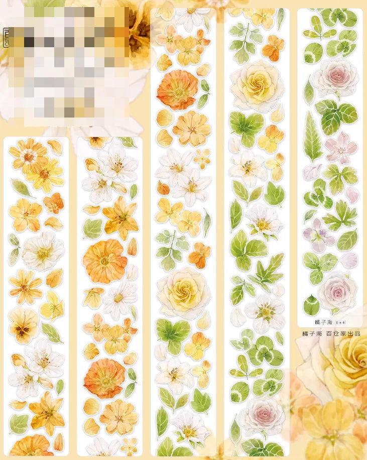 5635-NEW Studio-5x100cm Pre Cut Gloss PET Tape