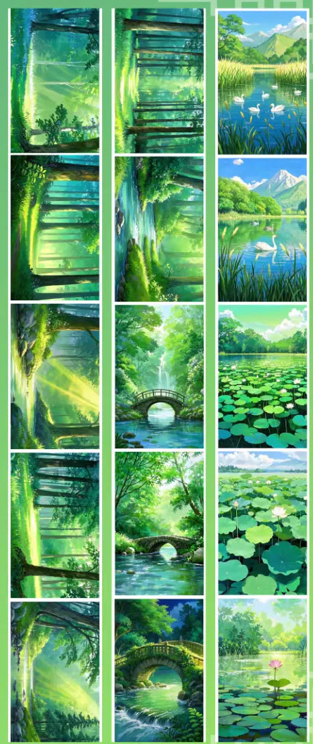 5646-PING CHAGN SHU Studio-10.3x250cm Glossy PET Tape