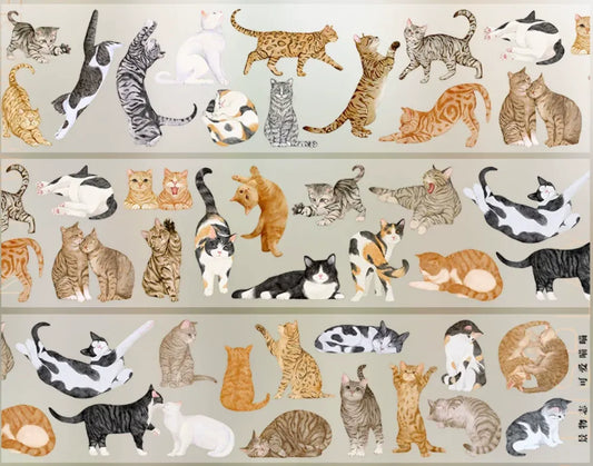5678-JINGWUZHI Studio-5x50cm Glossy PET Tape