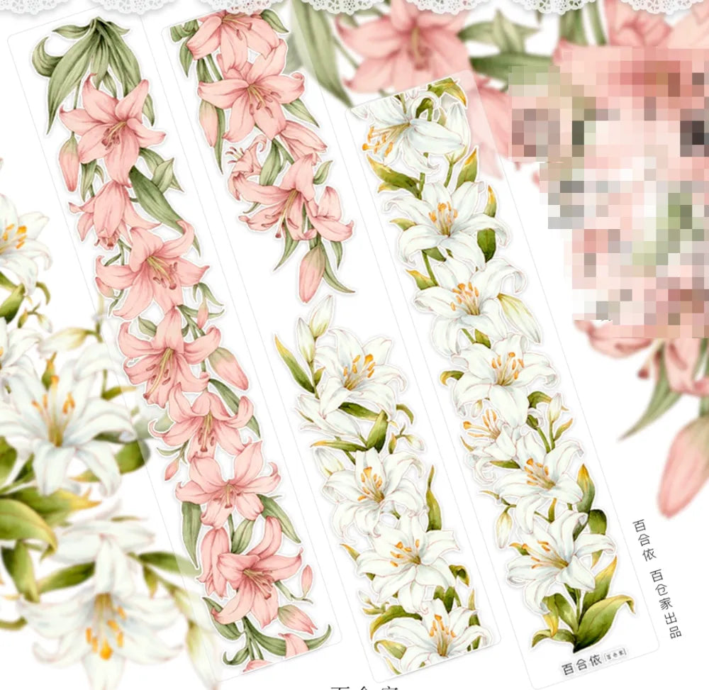 5689-NEW Studio-Pre Cut Gloss PET Tape