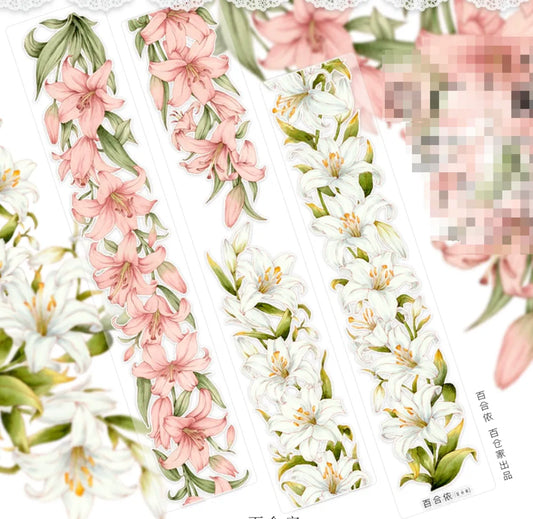 5689-NEW Studio-Pre Cut Gloss PET Tape