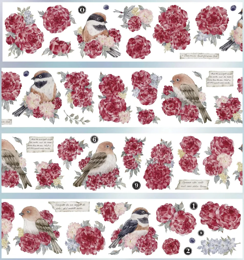 5700-YOYOYO Studio-7x100cm Pre Cut Gloss PET Tape