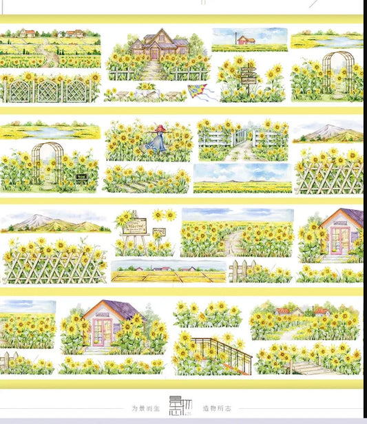 5702-JINGWUZHI Studio-7x100cm Glossy PET Tape