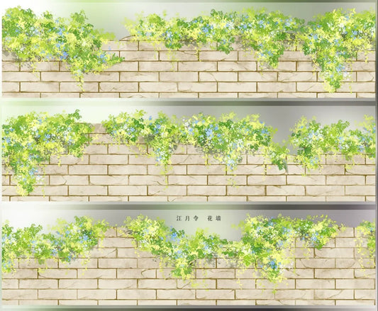 5718-ZERO Studio-5x50cm Glossy PET Tape