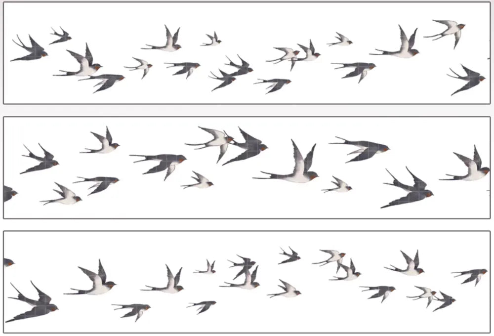 5825-ELEPHANT Studio-Swallow Pre Cut Gloss PET Tape