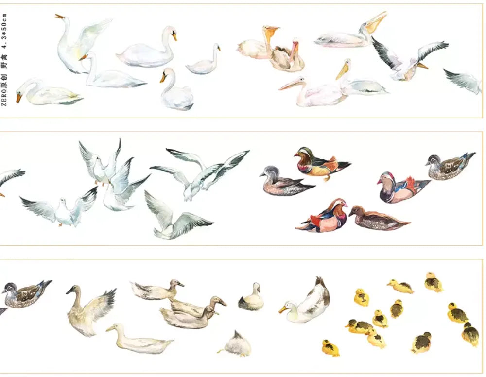 5837-ZERO Studio-Glossy PET Tape