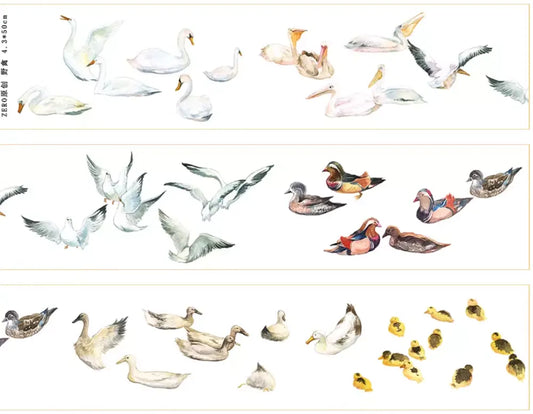 5837-ZERO Studio-Glossy PET Tape