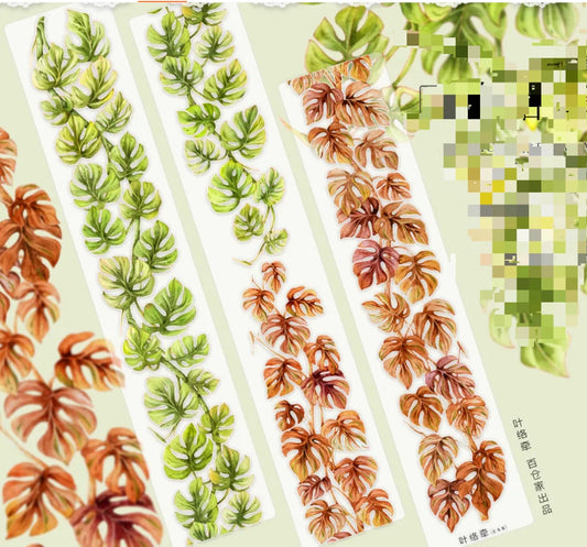 5853-NEW Studio-Pre Cut Gloss PET Tape