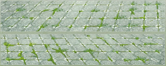 6012-BOBO FISH Studio-Brick Glossy PET Tape