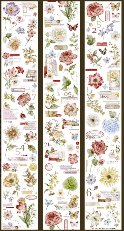 6165-Gui Studio-6x100cm Shell Luster PET Tape