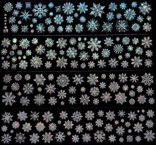 6180-UntilYou Studio-6x100cm Precut Shell Luster PET Tape