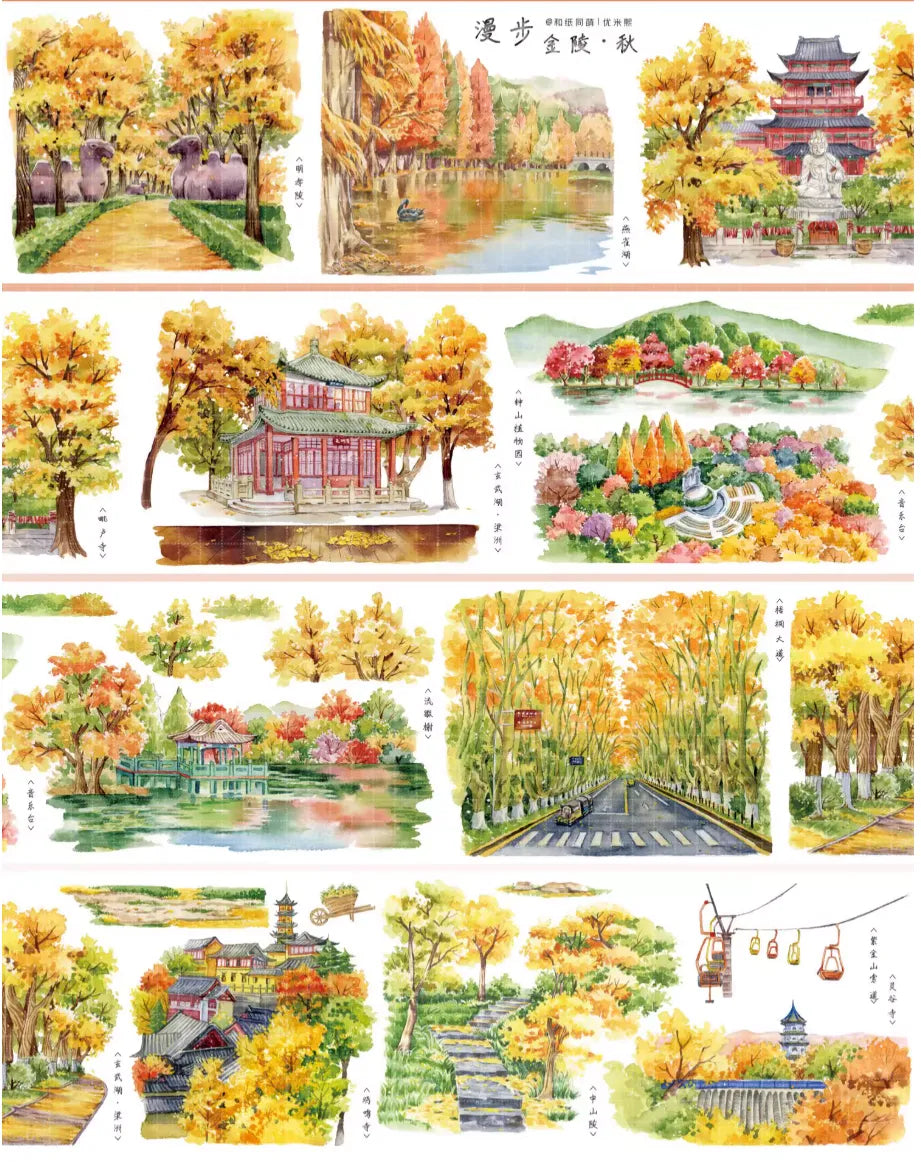 6199-TIMOTAPE Studio-8x100cm Glossy PET Tape