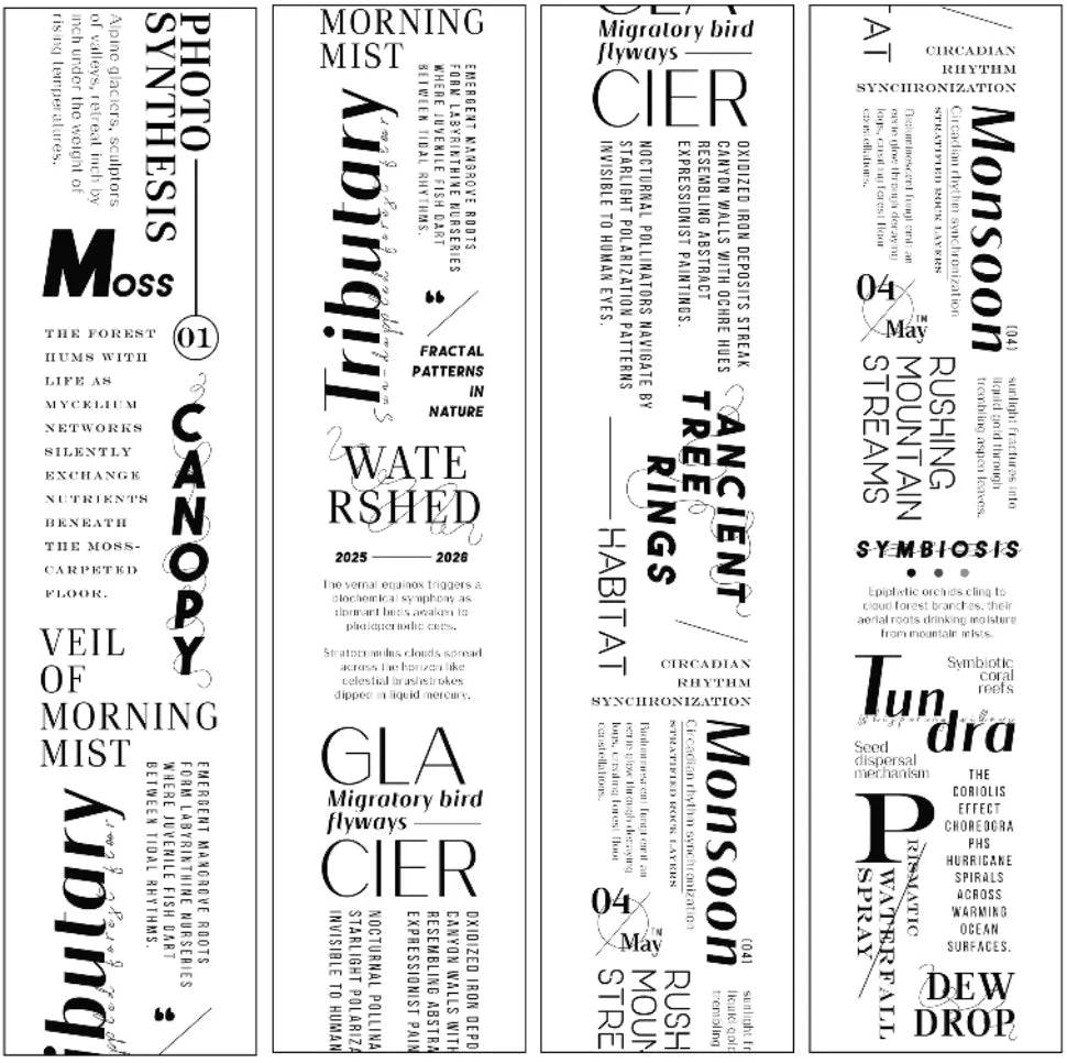 6202-KAKA Studio-6x100cm Glossy PET Tape