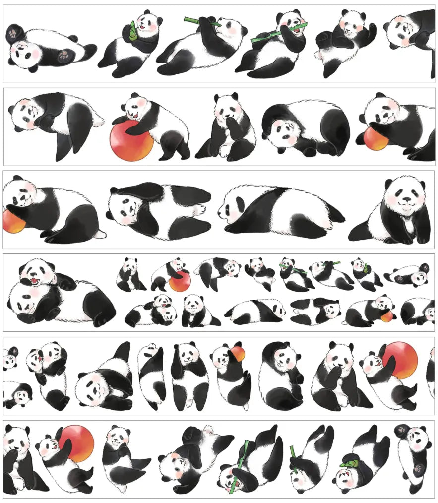 6237-SHI AN Studio-4x120cm Glossy PET Tape